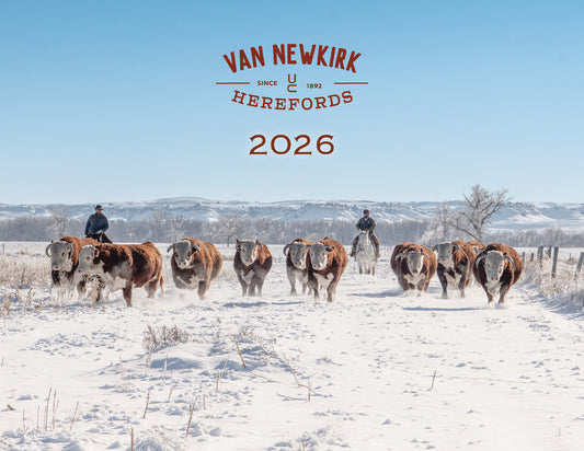2026 Calendar