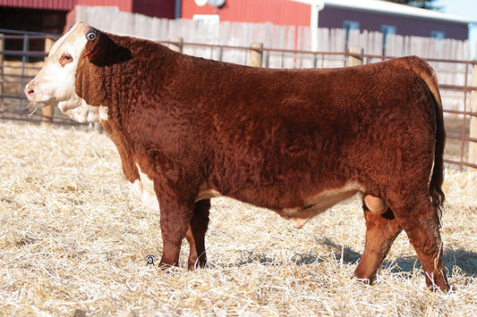 Semen for HH Advance 0159