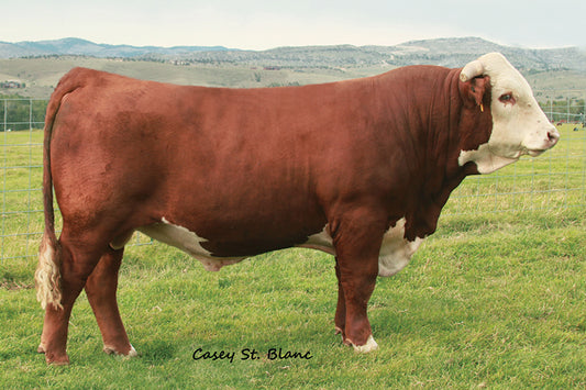 Semen for SR Bakken 62Z