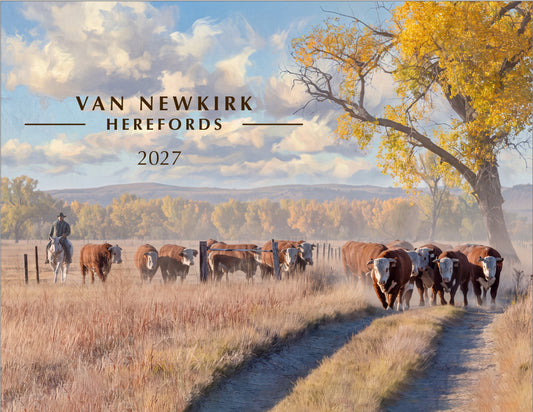 2027 VNK Calendar